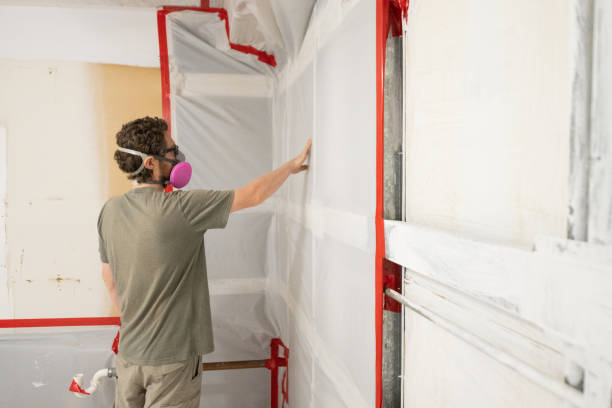 Best Airborne Mold Testing  in Green Level, NC