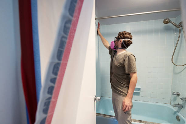 Environmental Consulting for Mold Prevention in Green Level, NC