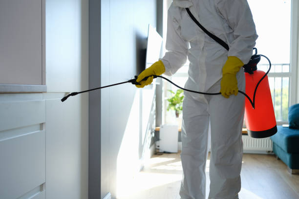 Best Residential Mold Inspection & Testing  in Green Level, NC