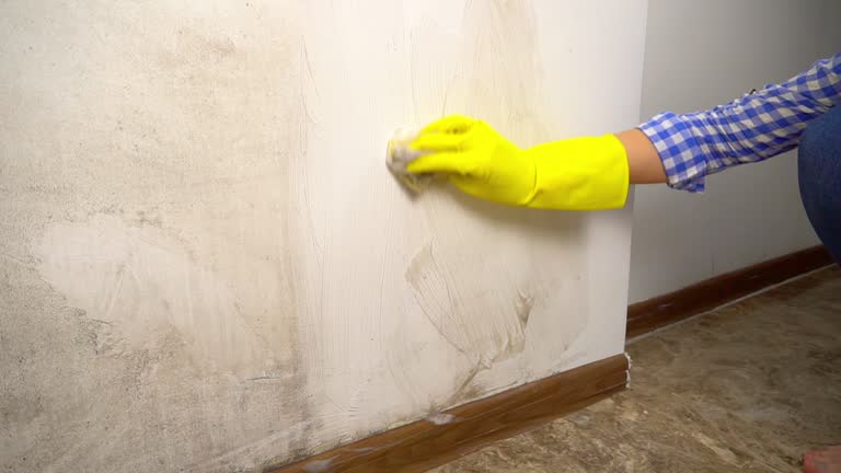 Best Mold Remediation for Healthcare Facilities  in Green Level, NC