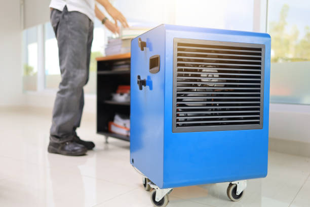 Best Biohazard Mold Removal  in Green Level, NC